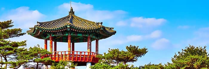 Consequences of Overstaying a South Korean Visa